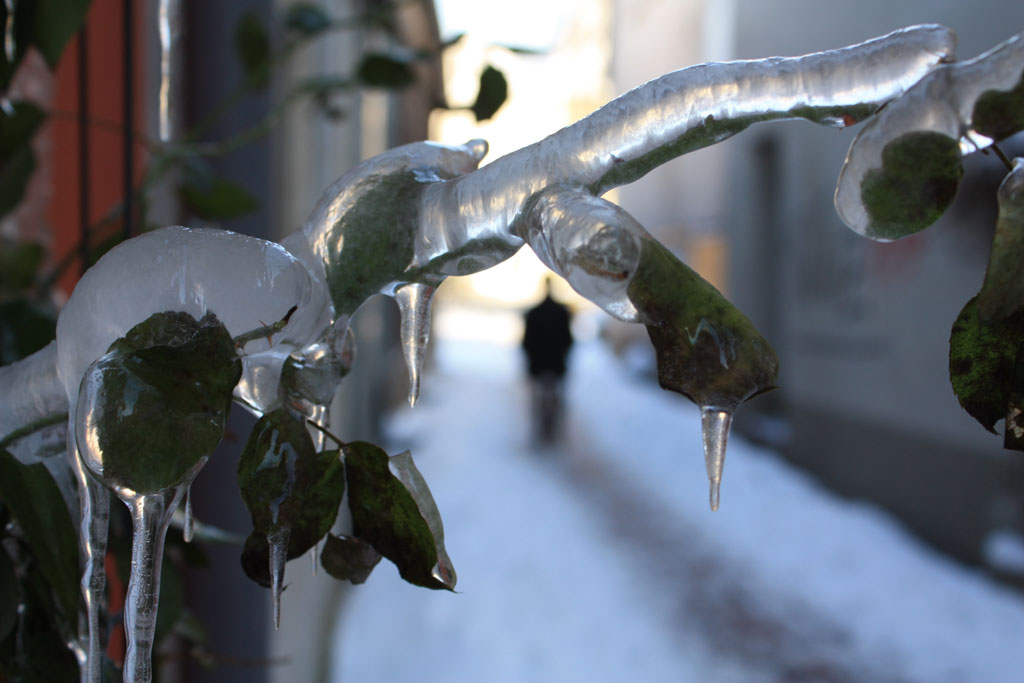 ice - found in Kalkar - © Tom Loewen | 14x3.de